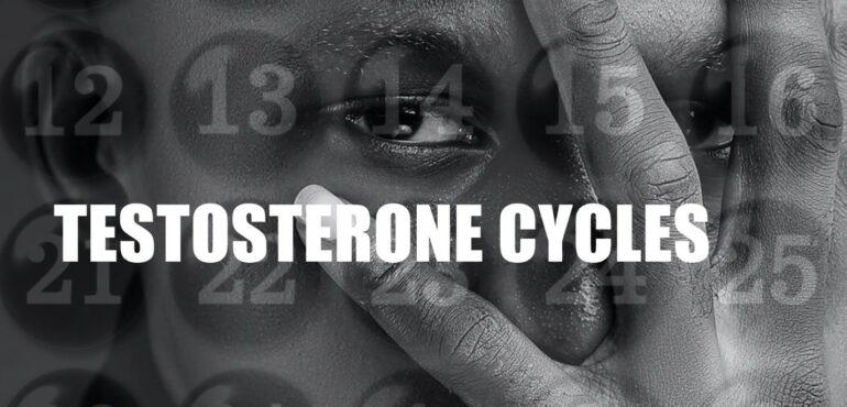 TESTOSTERONE Part II: A Man’s “Time of the Month?”